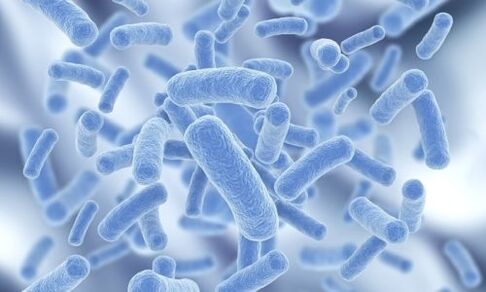 baktērijas cilvēka ķermenī