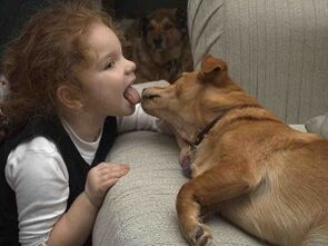 bērns noskūpsta suni un inficējas ar parazītiem